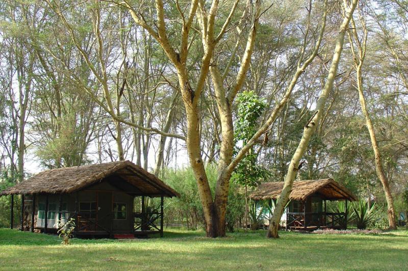 Migunga Tented Camp Мто-ва-Мбу Экстерьер фото