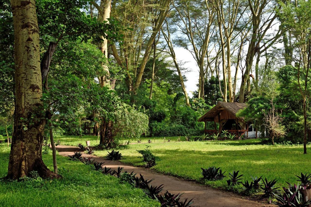 Migunga Tented Camp Мто-ва-Мбу Экстерьер фото