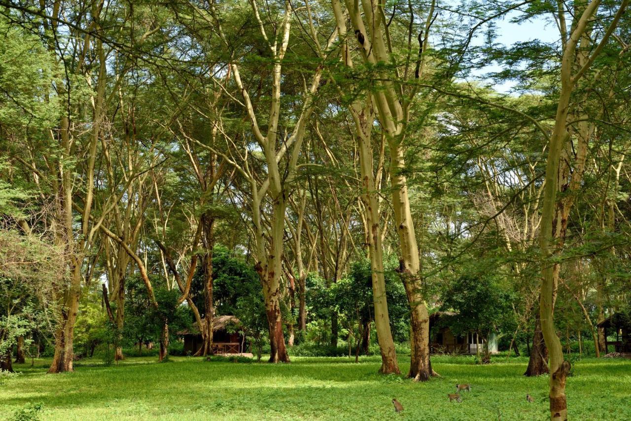 Migunga Tented Camp Мто-ва-Мбу Экстерьер фото