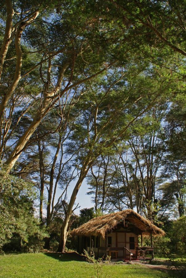 Migunga Tented Camp Мто-ва-Мбу Экстерьер фото