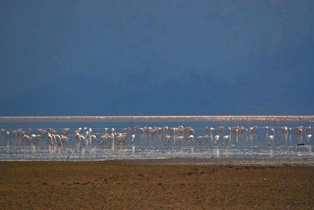 Migunga Tented Camp Мто-ва-Мбу Экстерьер фото